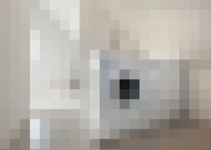 Roockershuys 23 Tuitjenhorn thumbnail 26