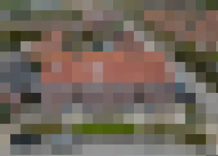 Roockershuys 23 Tuitjenhorn thumbnail 31