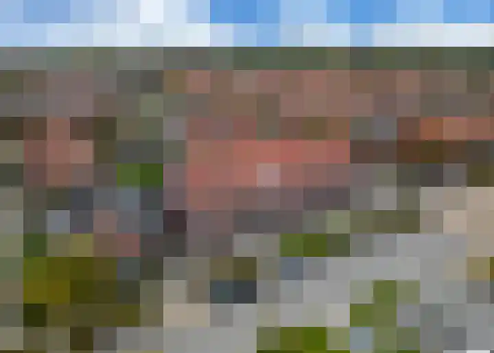 Roockershuys 23 Tuitjenhorn thumbnail 32