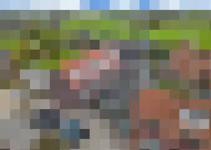 Roockershuys 23 Tuitjenhorn thumbnail 33