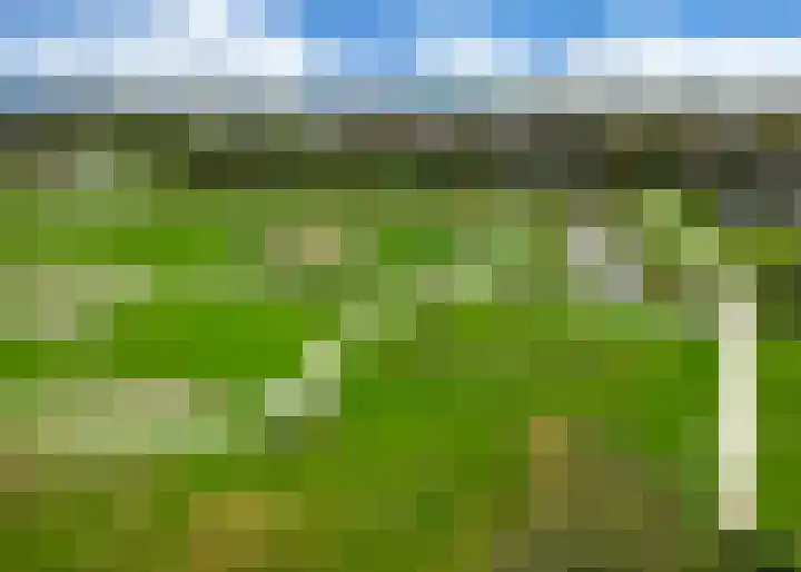 Roockershuys 23 Tuitjenhorn thumbnail 34