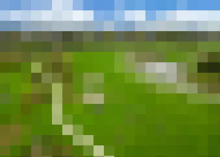 Roockershuys 23 Tuitjenhorn thumbnail 35
