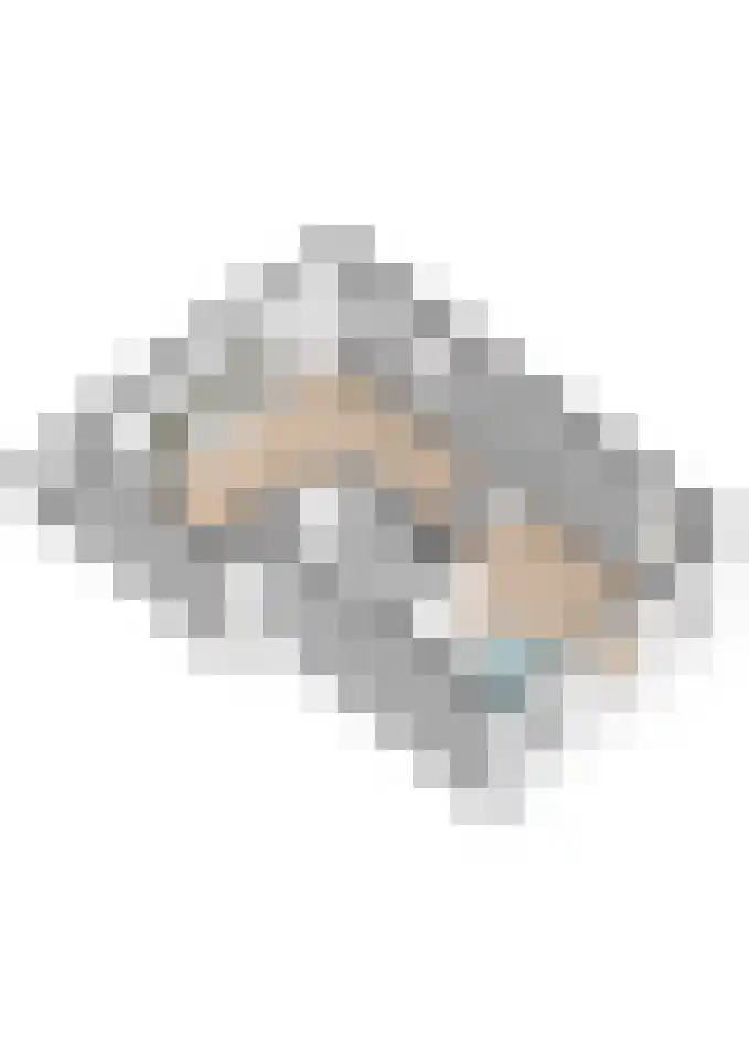 Roockershuys 23 Tuitjenhorn thumbnail 38