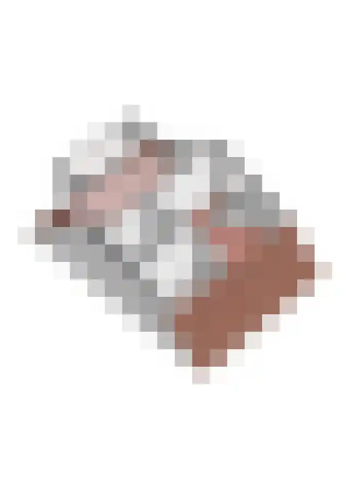Roockershuys 23 Tuitjenhorn thumbnail 39
