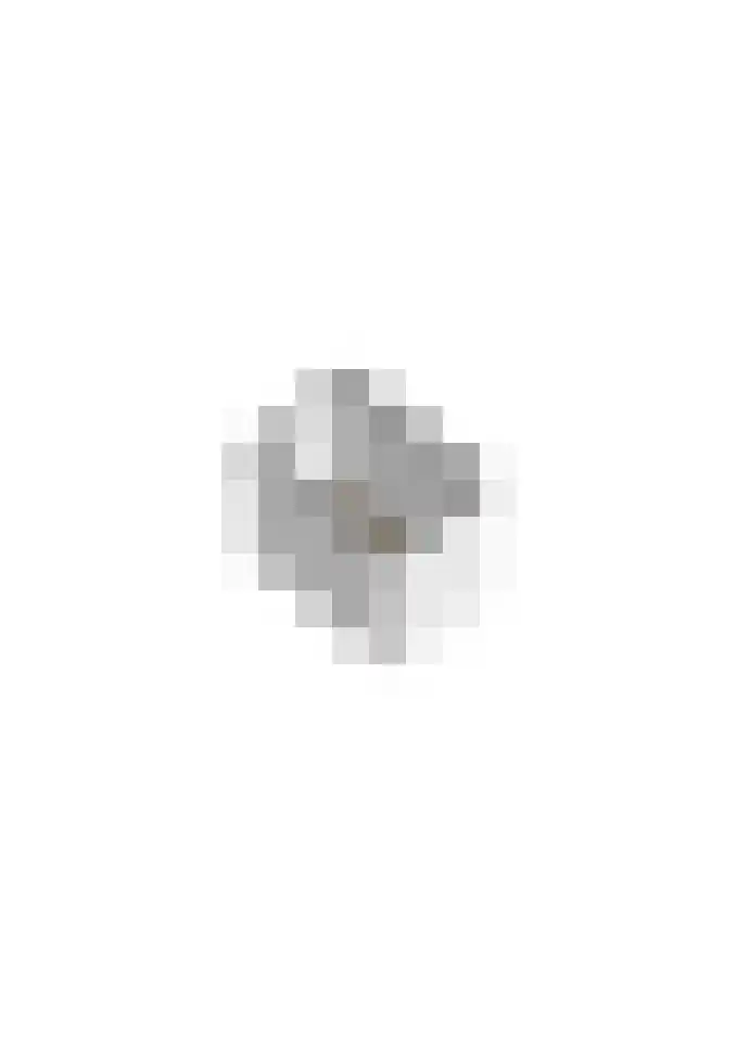 Roockershuys 23 Tuitjenhorn thumbnail 40