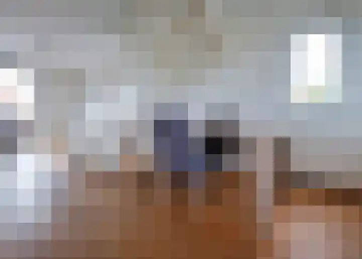 Roockershuys 23 Tuitjenhorn thumbnail 5