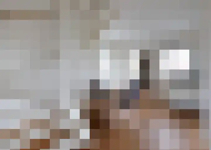Roockershuys 23 Tuitjenhorn thumbnail 6