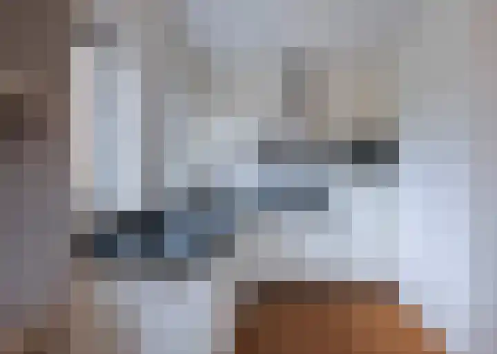 Roockershuys 23 Tuitjenhorn thumbnail 8