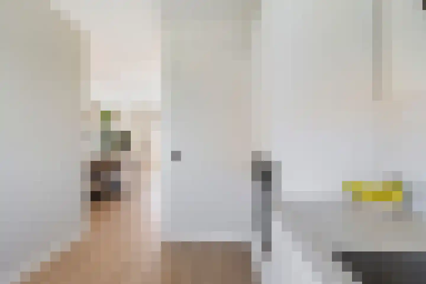 Roockershuys 29 Tuitjenhorn thumbnail 11