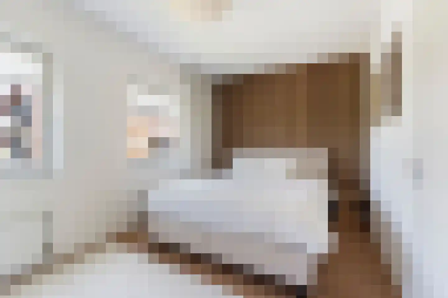Roockershuys 29 Tuitjenhorn thumbnail 16