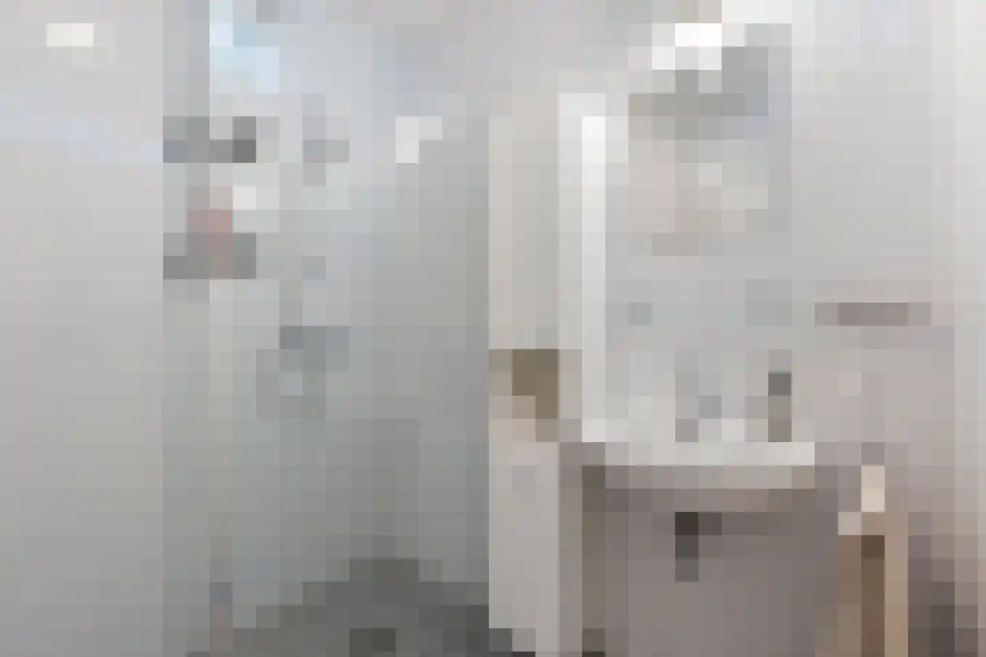 Roockershuys 29 Tuitjenhorn thumbnail 23