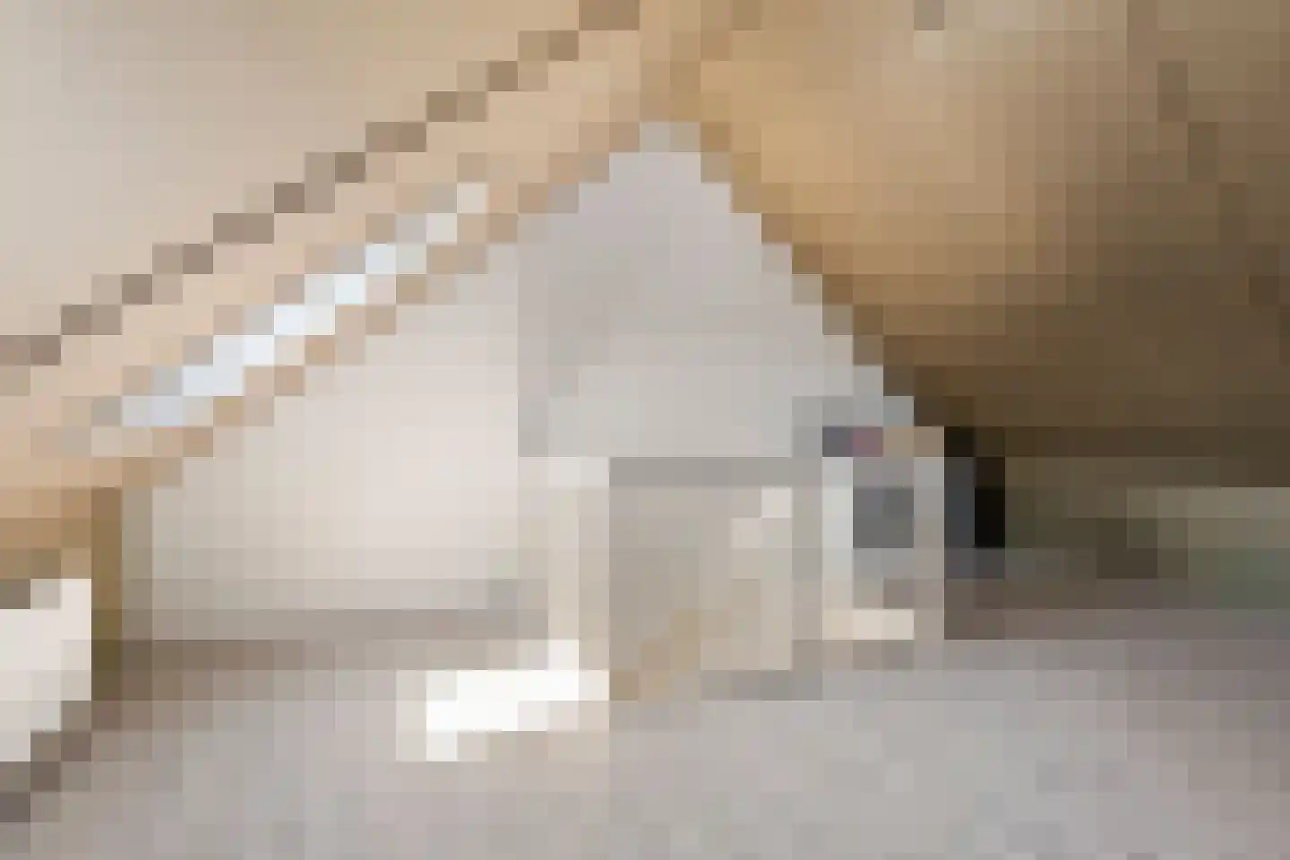 Roockershuys 29 Tuitjenhorn thumbnail 25