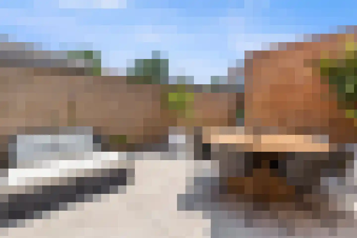 Roockershuys 29 Tuitjenhorn thumbnail 28