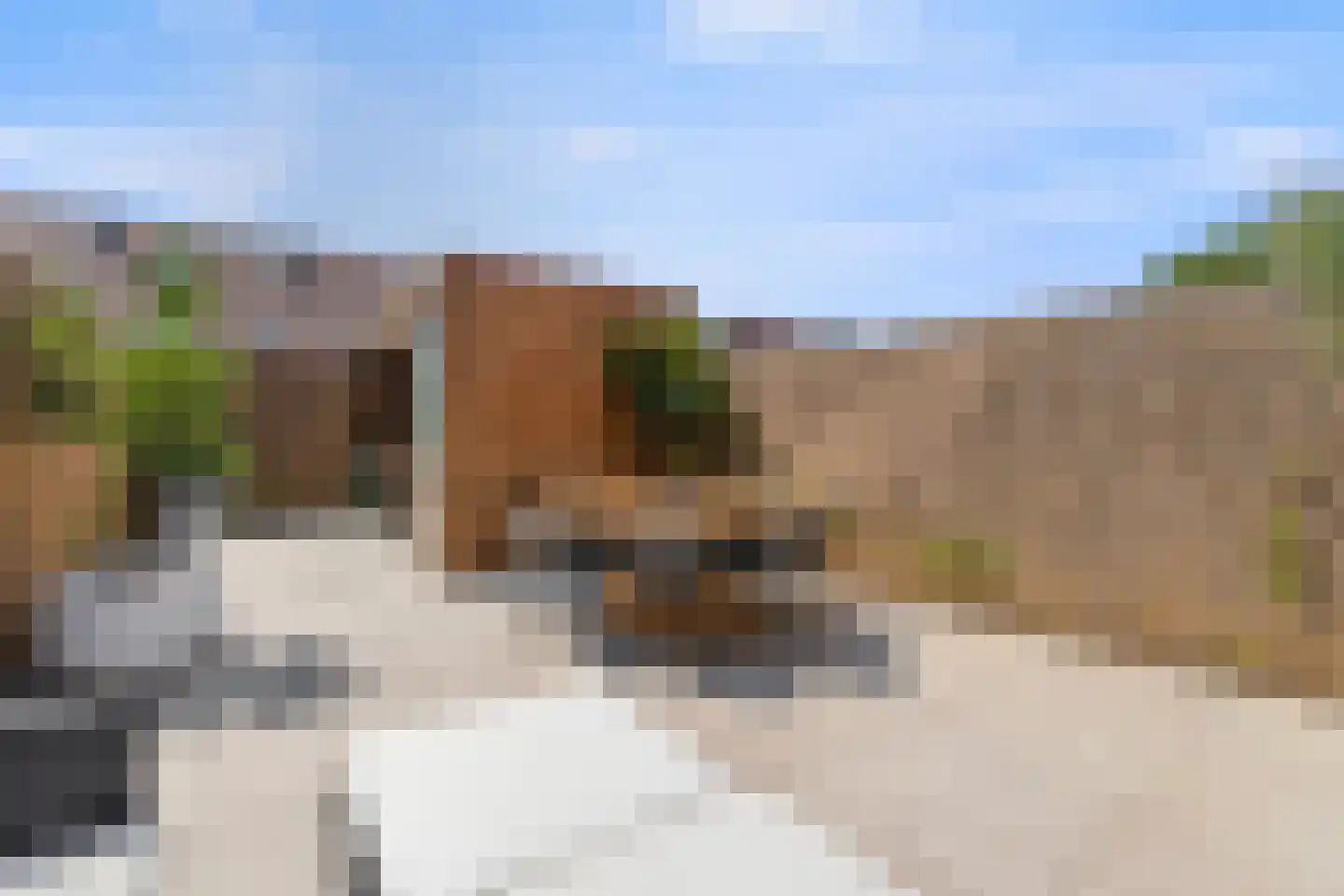 Roockershuys 29 Tuitjenhorn thumbnail 29