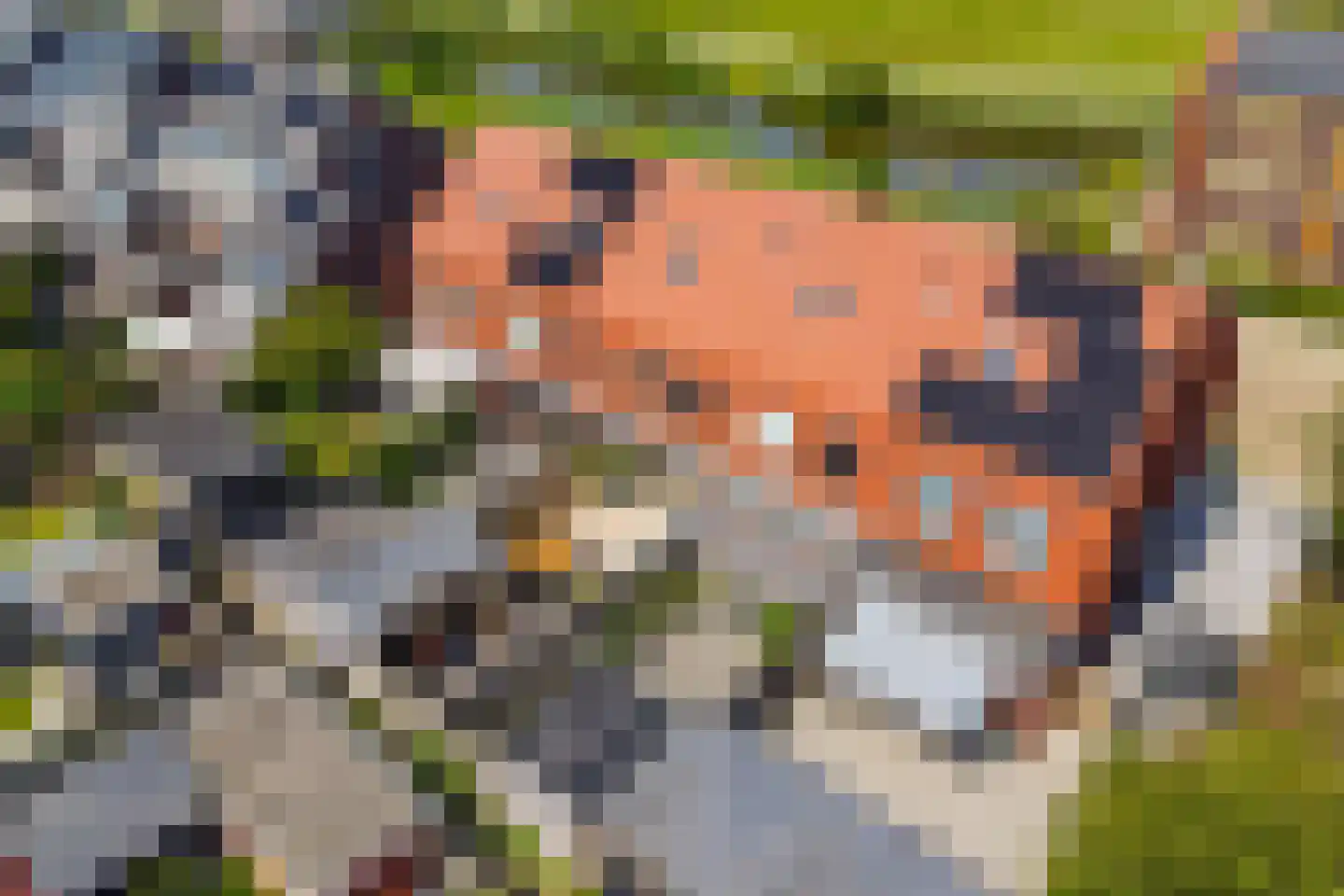 Roockershuys 29 Tuitjenhorn thumbnail 32