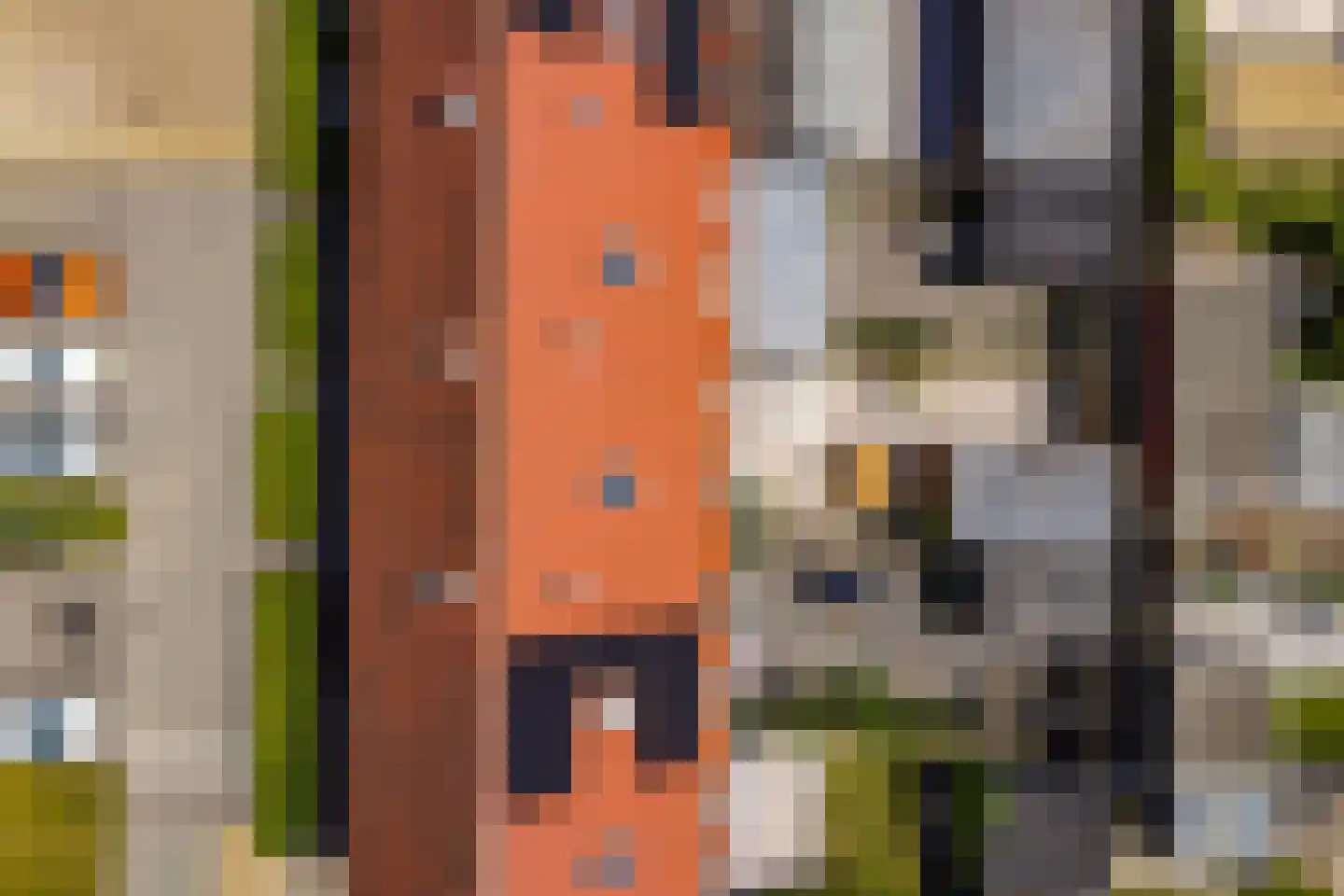 Roockershuys 29 Tuitjenhorn thumbnail 33