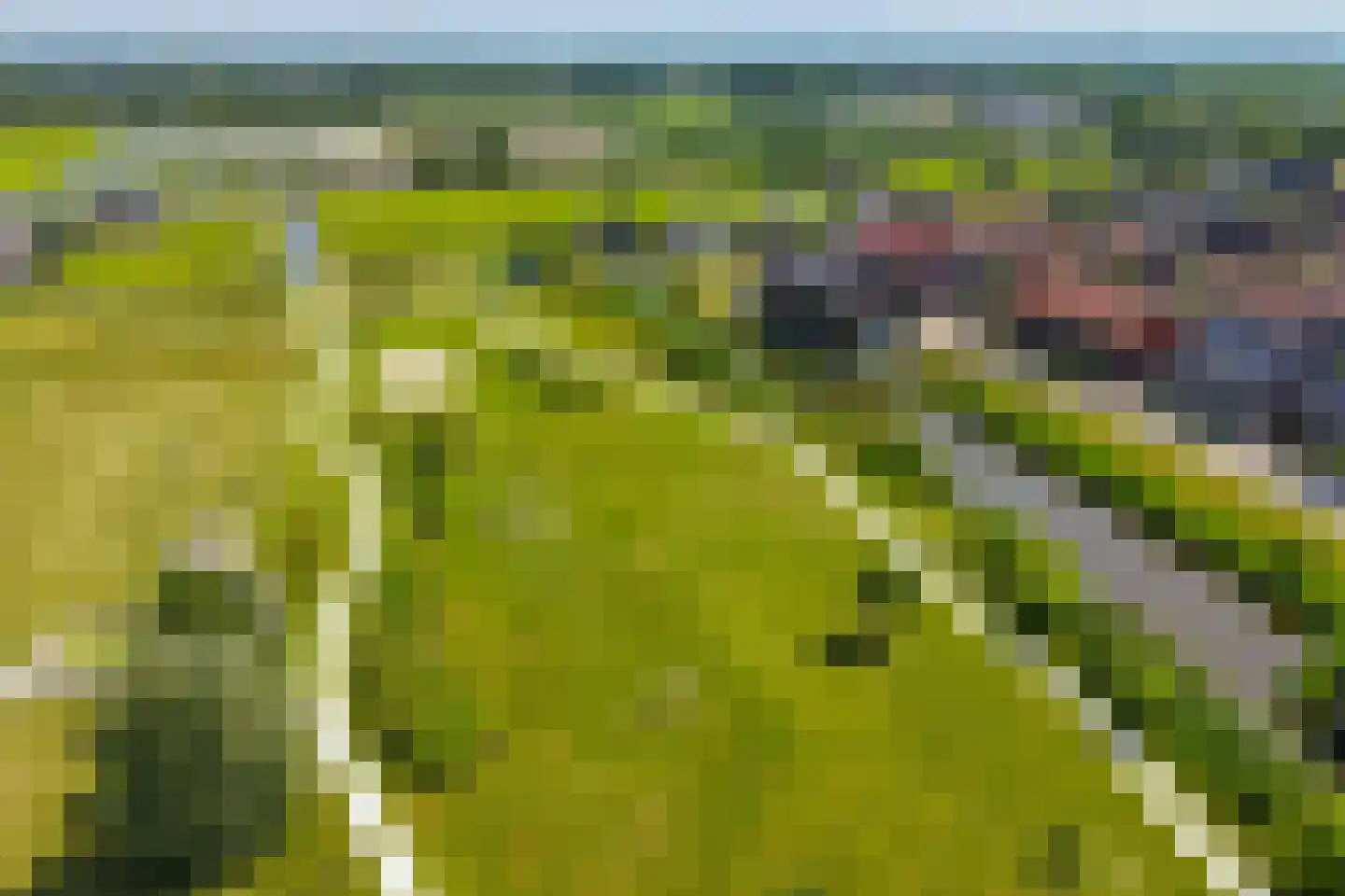 Roockershuys 29 Tuitjenhorn thumbnail 35