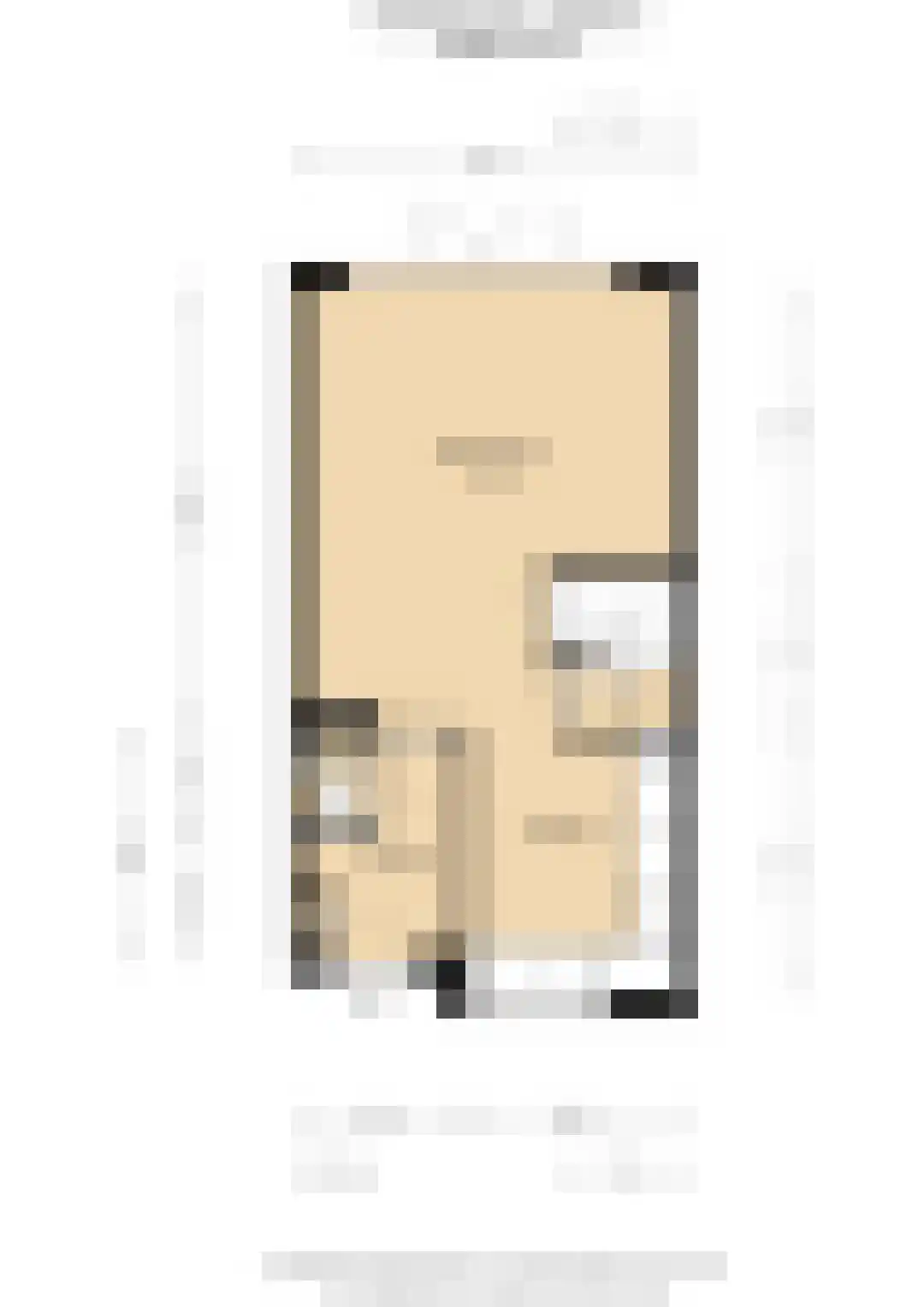 Roockershuys 29 Tuitjenhorn thumbnail 38