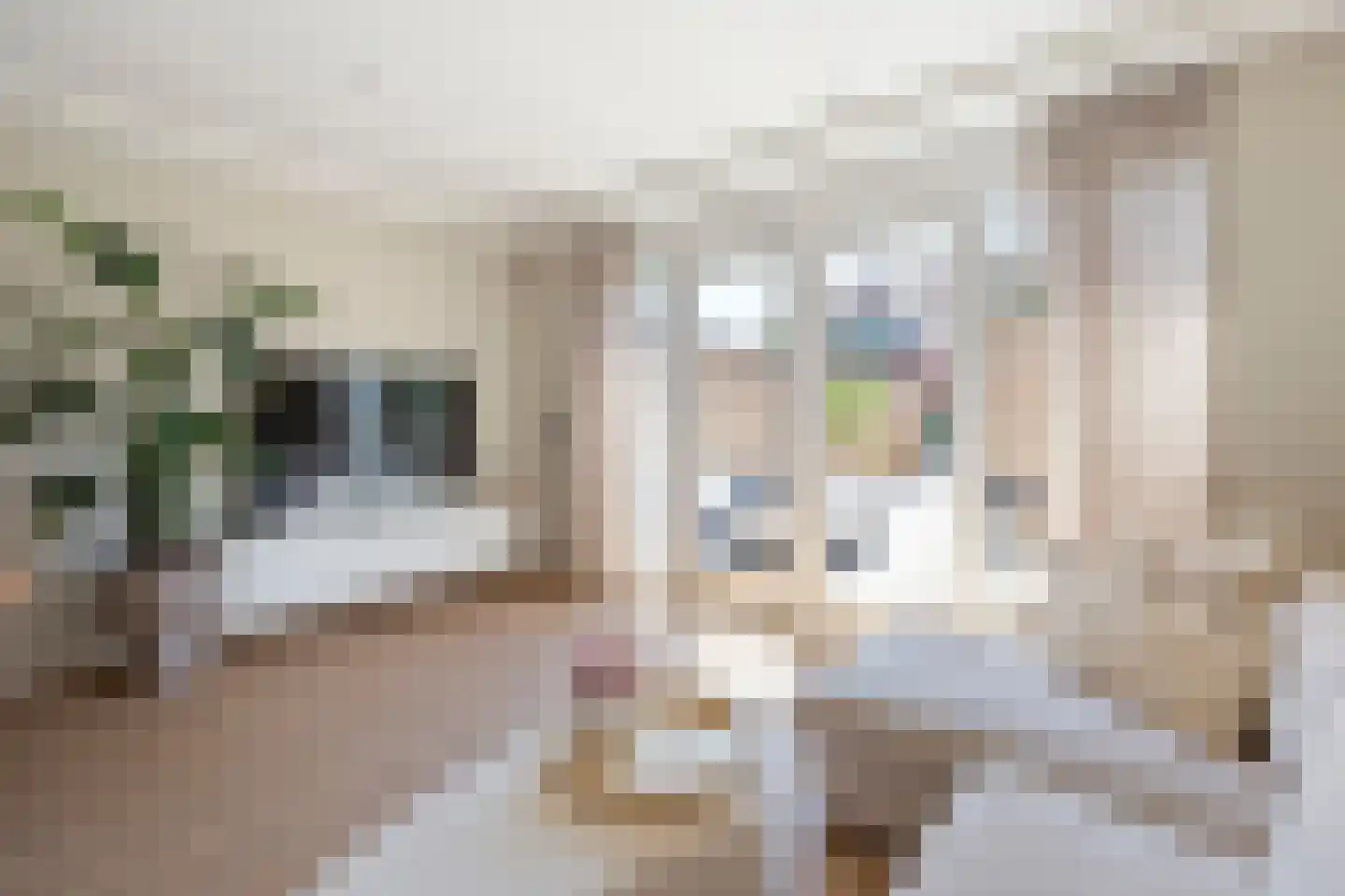 Roockershuys 29 Tuitjenhorn thumbnail 4