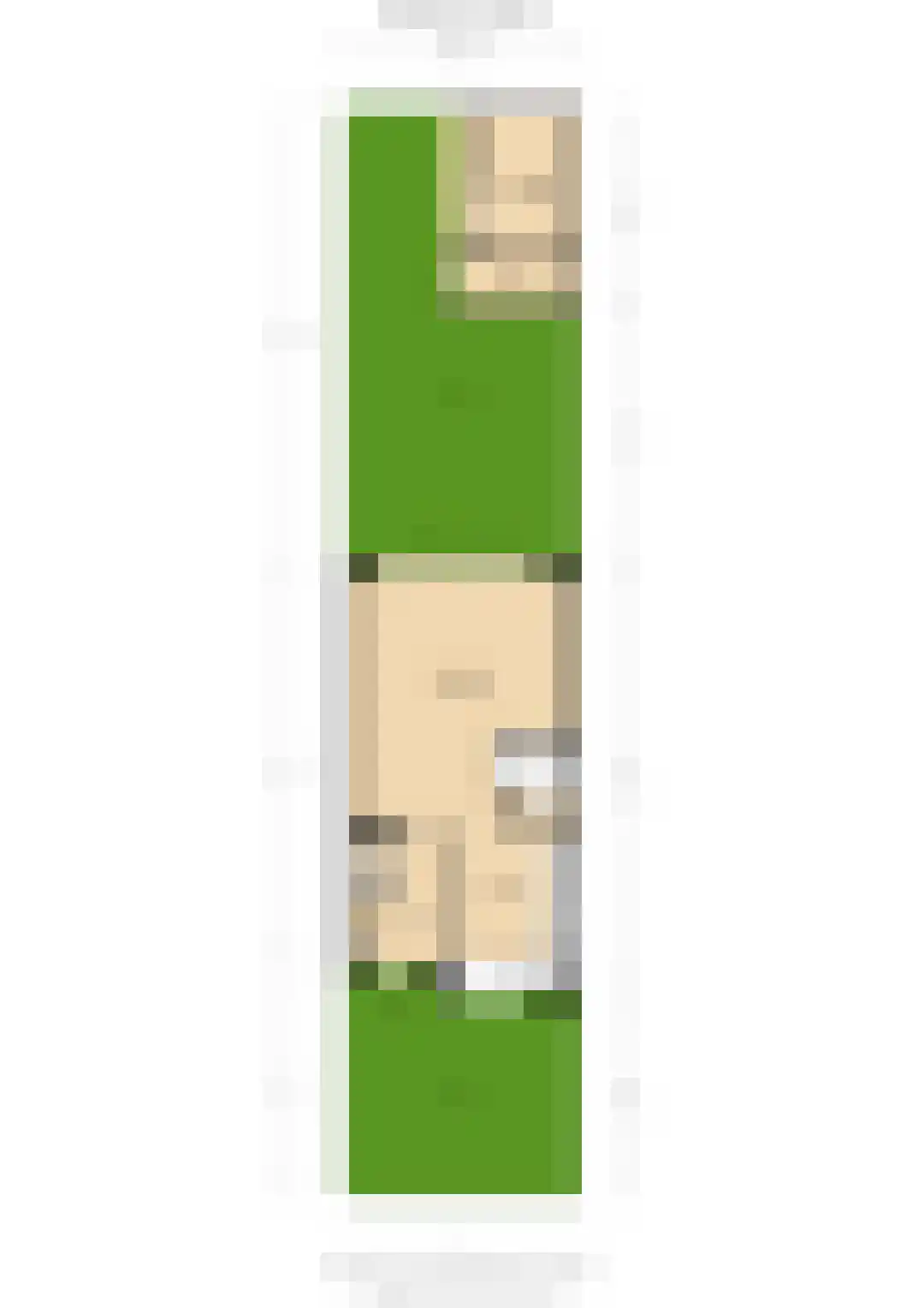 Roockershuys 29 Tuitjenhorn thumbnail 43