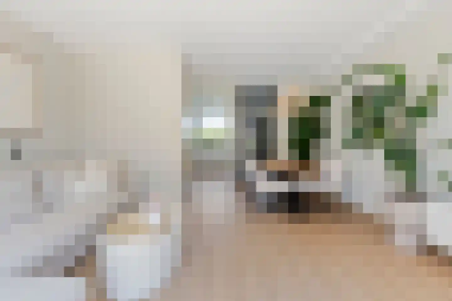 Roockershuys 29 Tuitjenhorn thumbnail 5