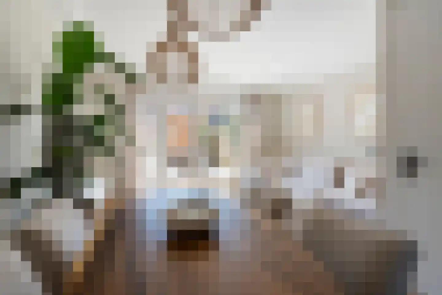 Roockershuys 29 Tuitjenhorn thumbnail 7