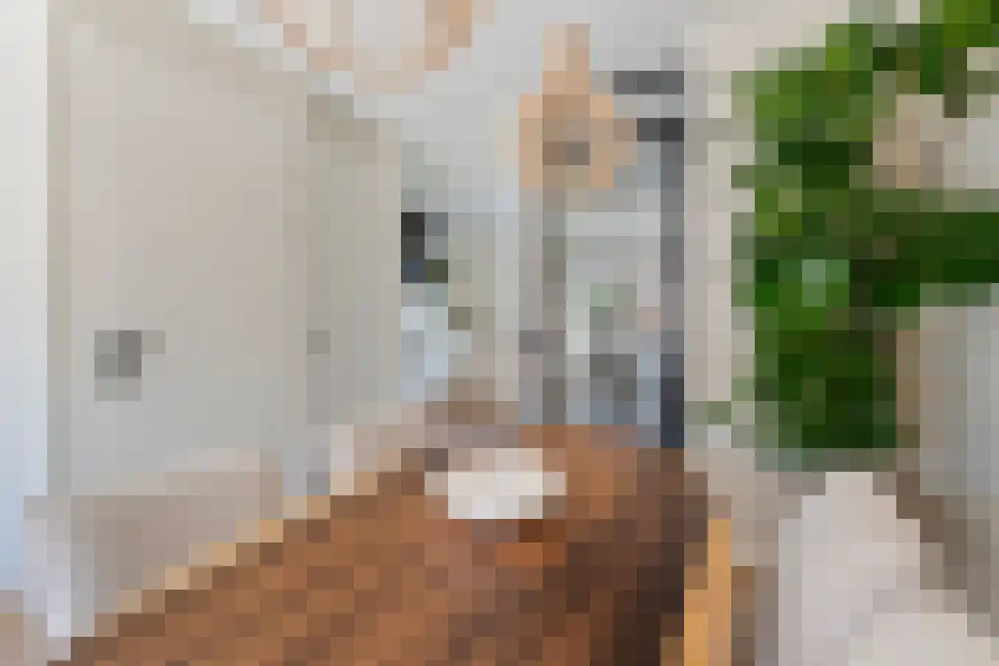 Roockershuys 29 Tuitjenhorn thumbnail 8