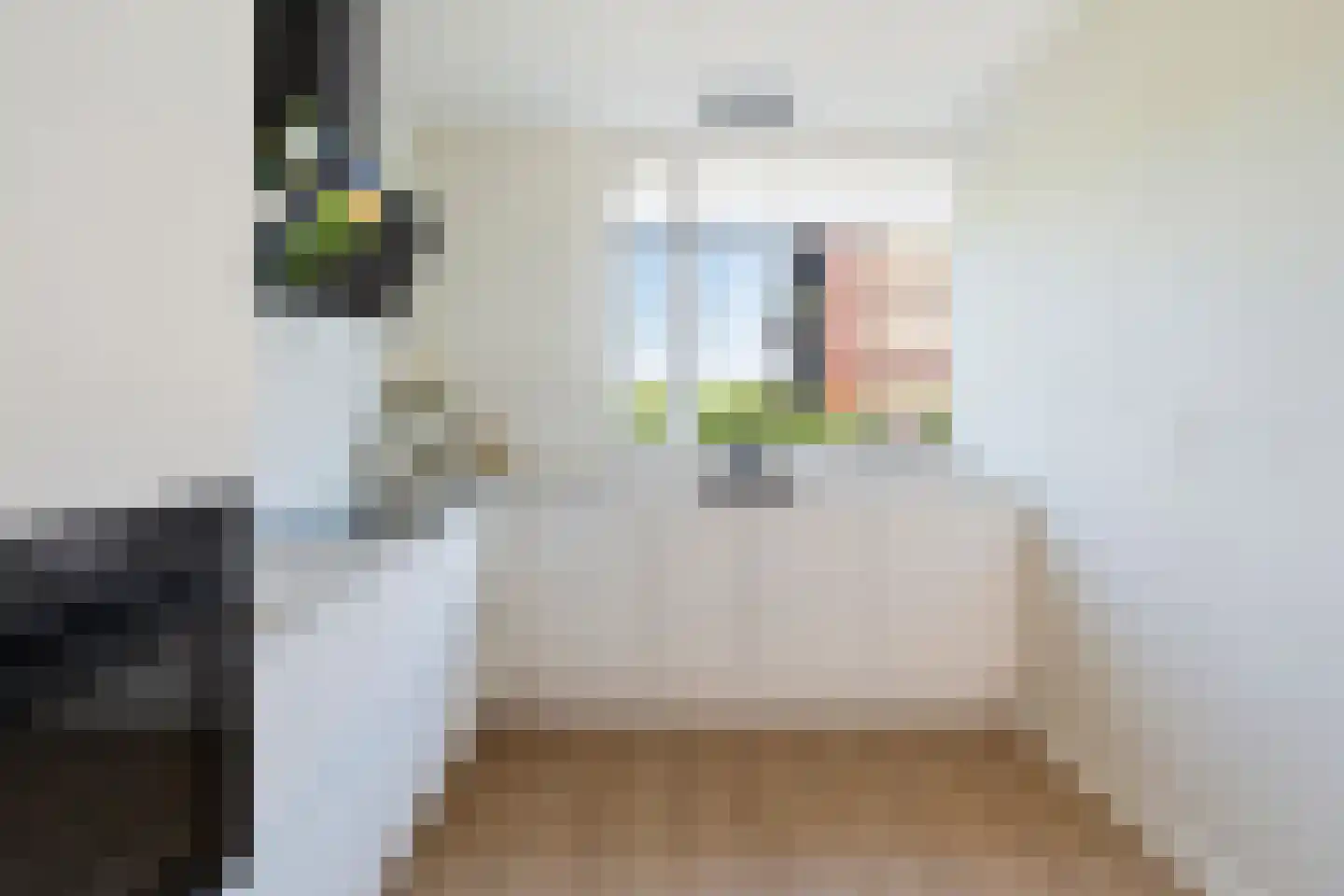 Roockershuys 29 Tuitjenhorn thumbnail 9