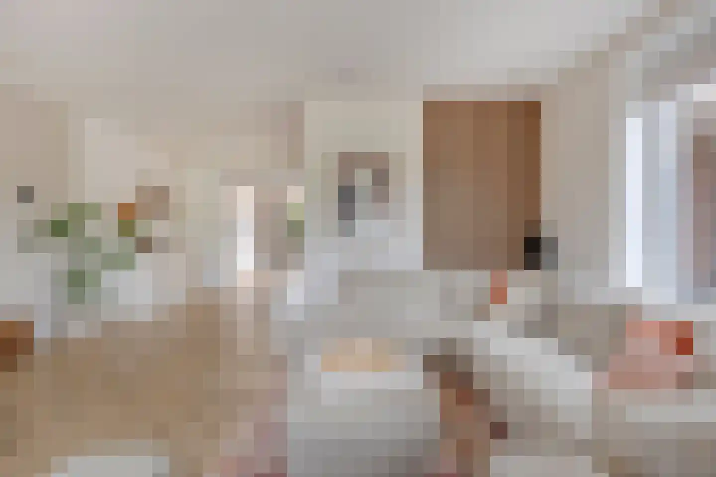 Roockershuys 41 Tuitjenhorn thumbnail 13