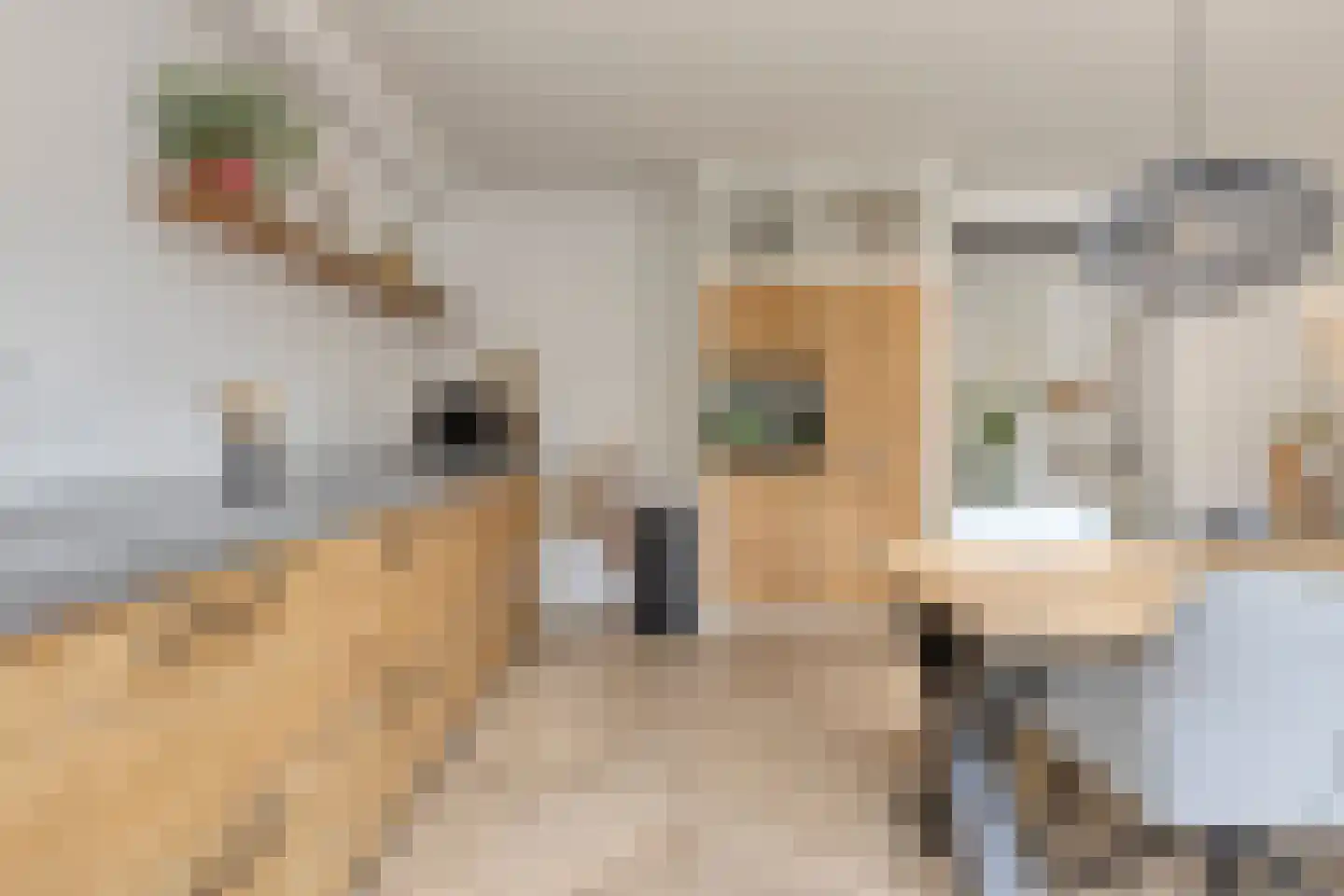 Roockershuys 41 Tuitjenhorn thumbnail 17