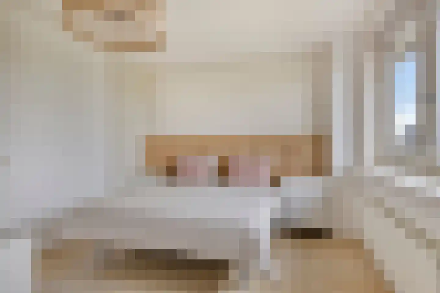 Roockershuys 41 Tuitjenhorn thumbnail 28