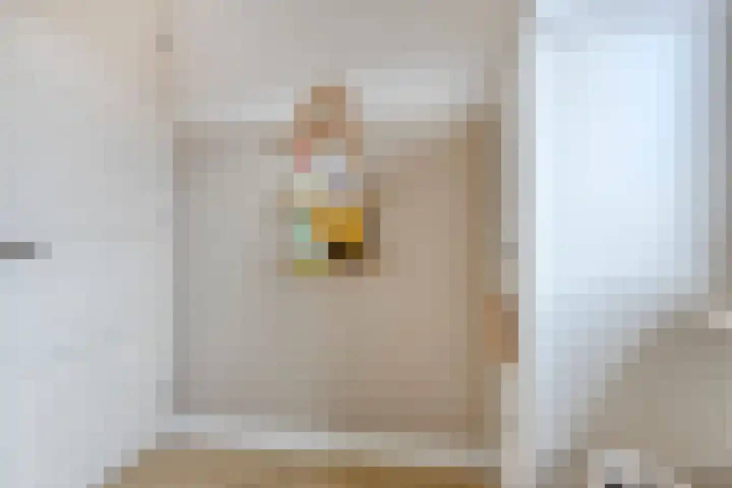 Roockershuys 41 Tuitjenhorn thumbnail 33