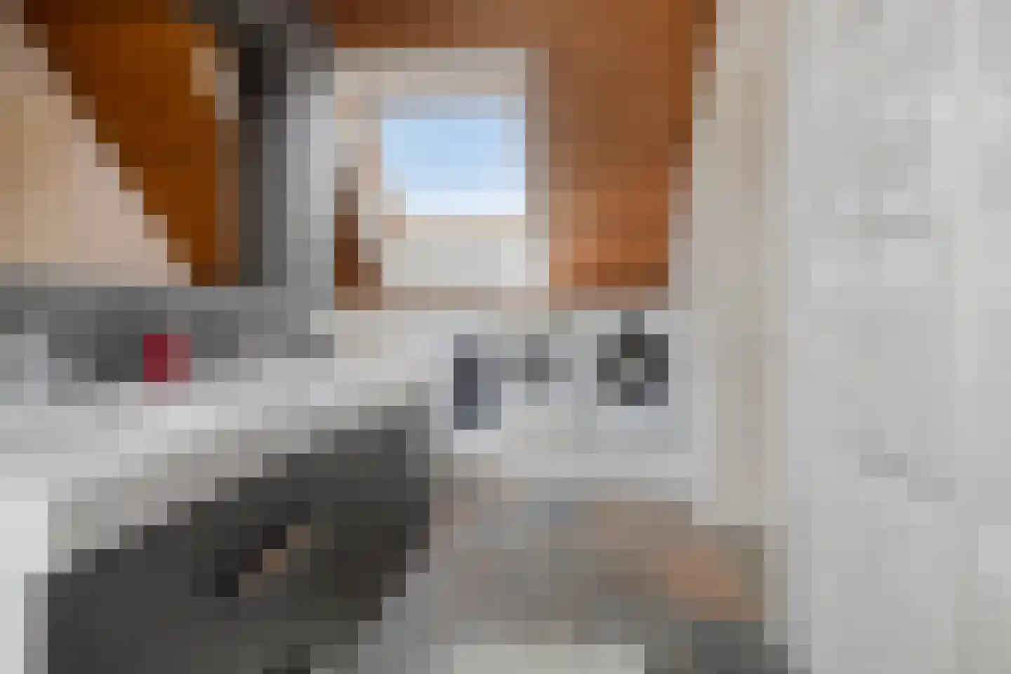 Roockershuys 41 Tuitjenhorn thumbnail 35