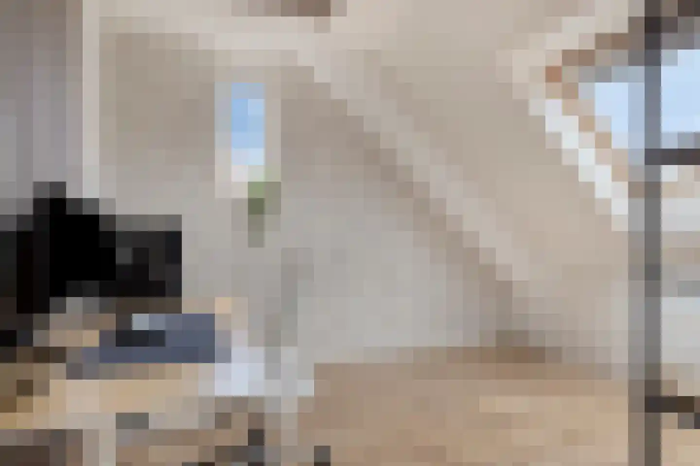 Roockershuys 41 Tuitjenhorn thumbnail 40