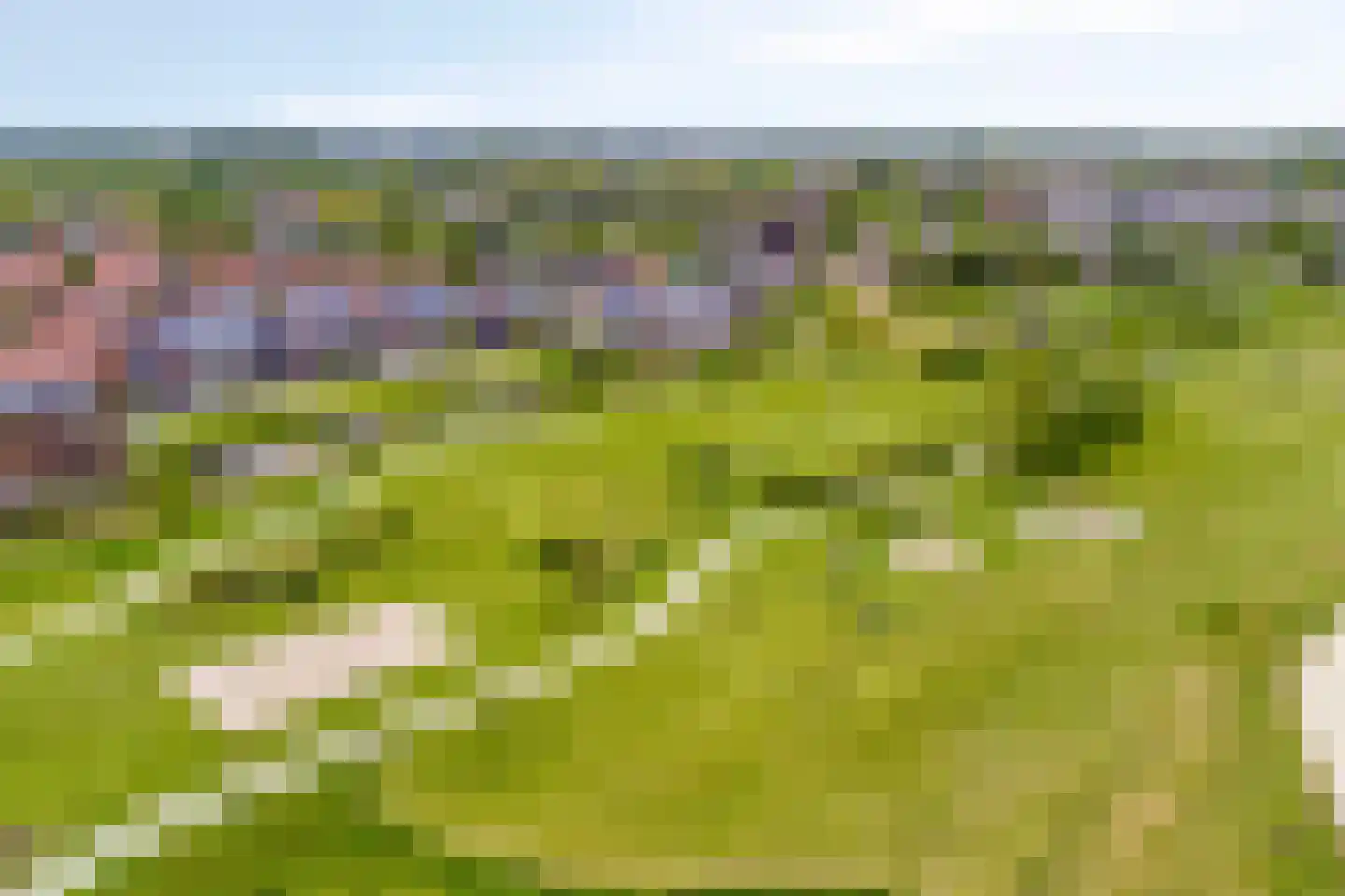 Roockershuys 41 Tuitjenhorn thumbnail 45