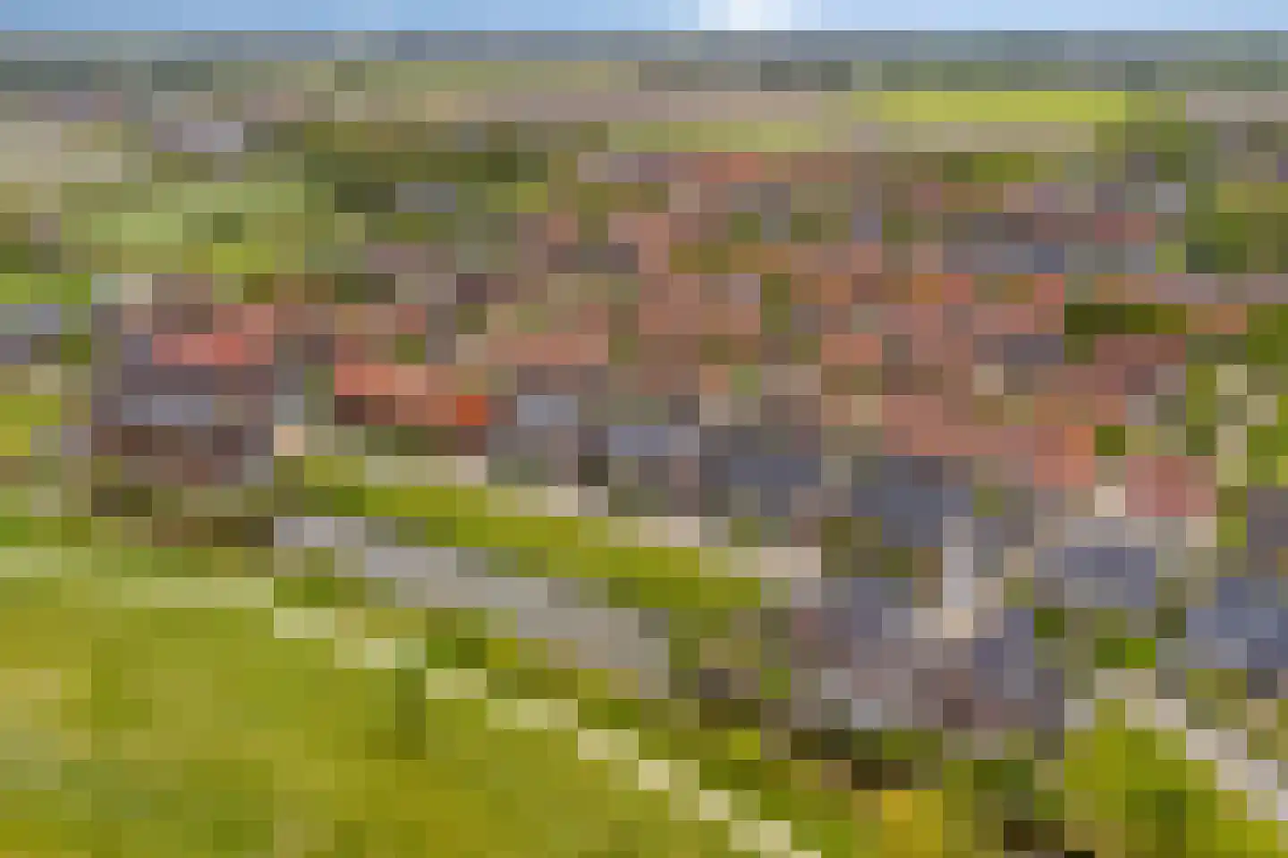 Roockershuys 41 Tuitjenhorn thumbnail 47