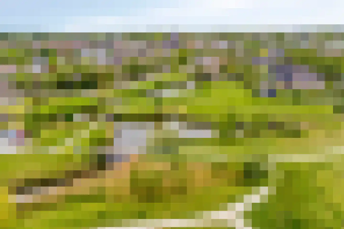 Roockershuys 41 Tuitjenhorn thumbnail 5