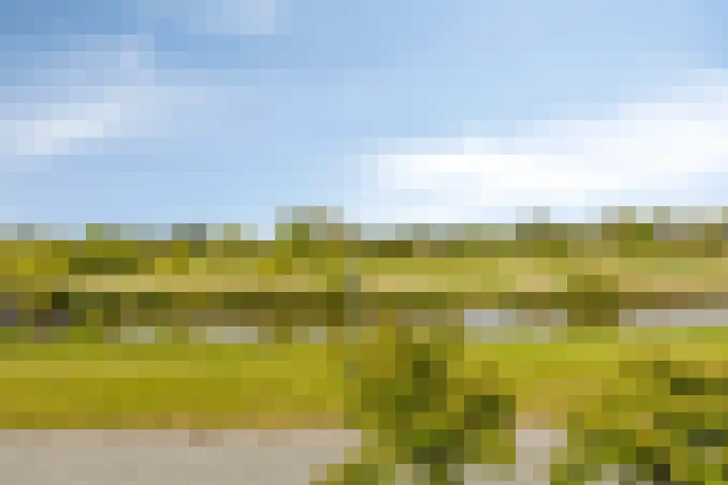 Roockershuys 41 Tuitjenhorn thumbnail 51