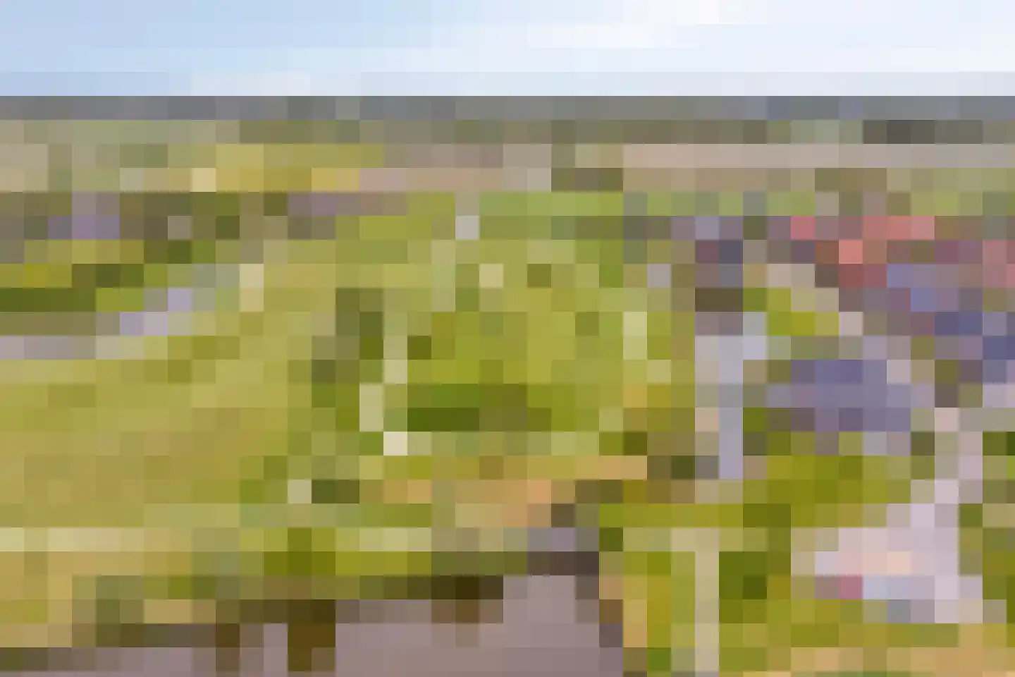 Roockershuys 41 Tuitjenhorn thumbnail 52