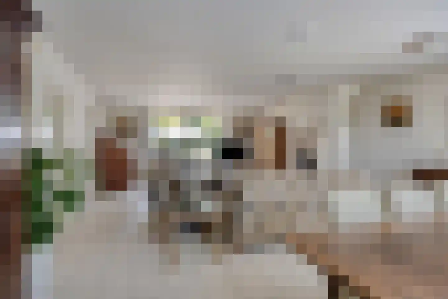 Roodakker 2 Melick thumbnail 11