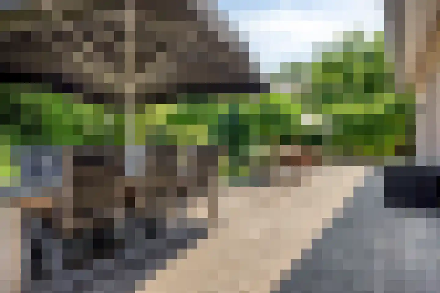 Roodakker 2 Melick thumbnail 44
