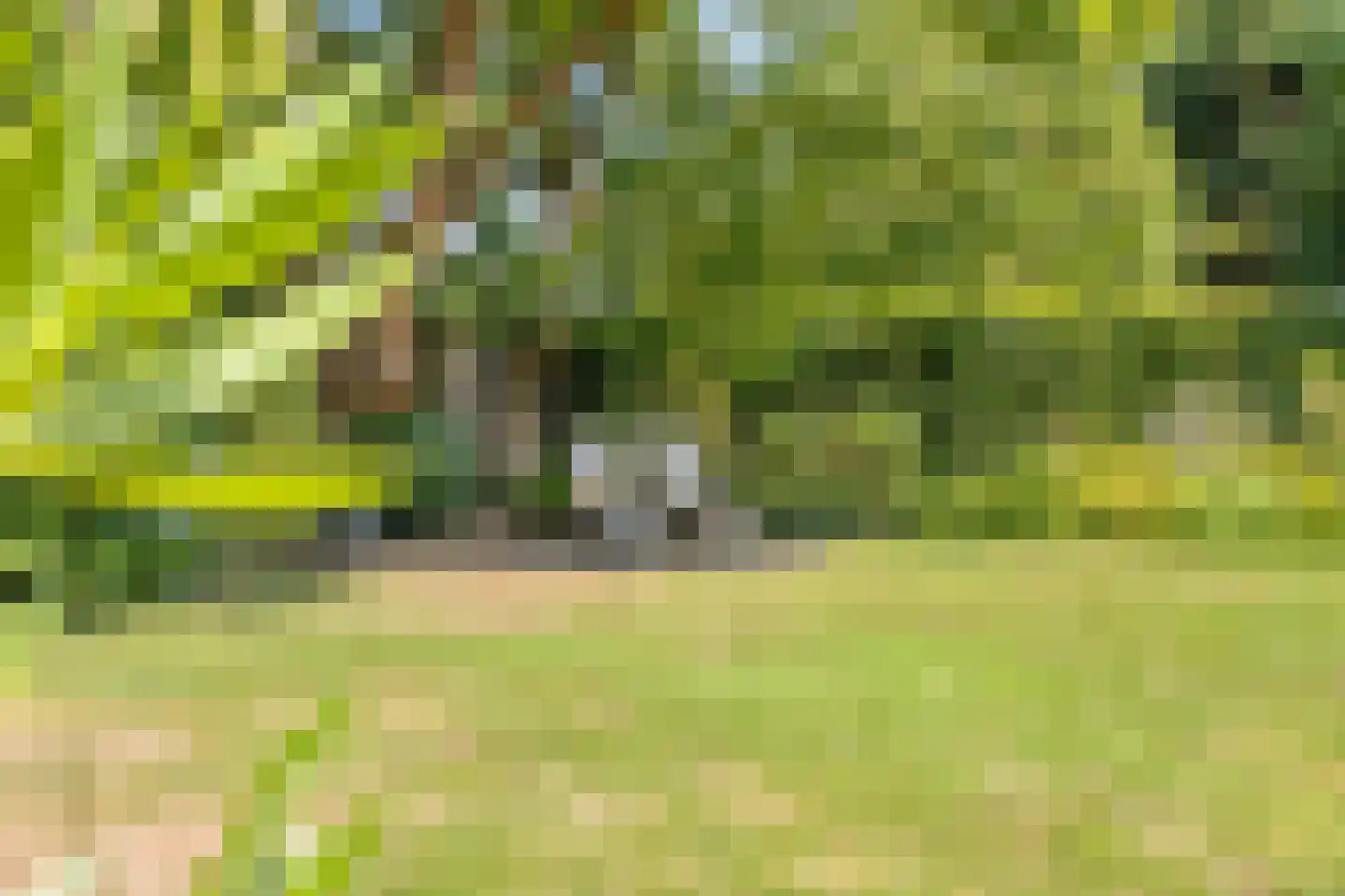 Roodakker 2 Melick thumbnail 56