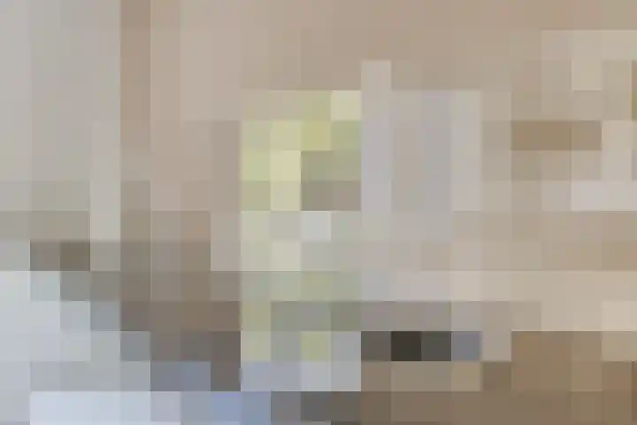 Roodakker 43 Herten thumbnail 11