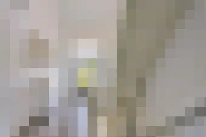 Roodakker 43 Herten thumbnail 21