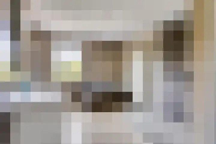 Roodakker 43 Herten thumbnail 23