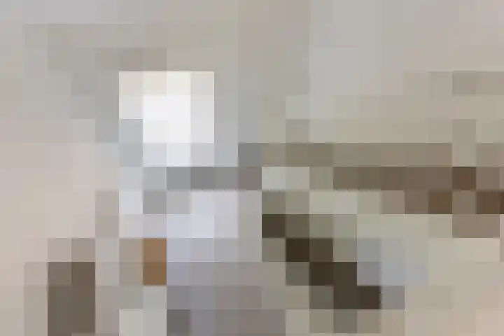 Roodakker 43 Herten thumbnail 31