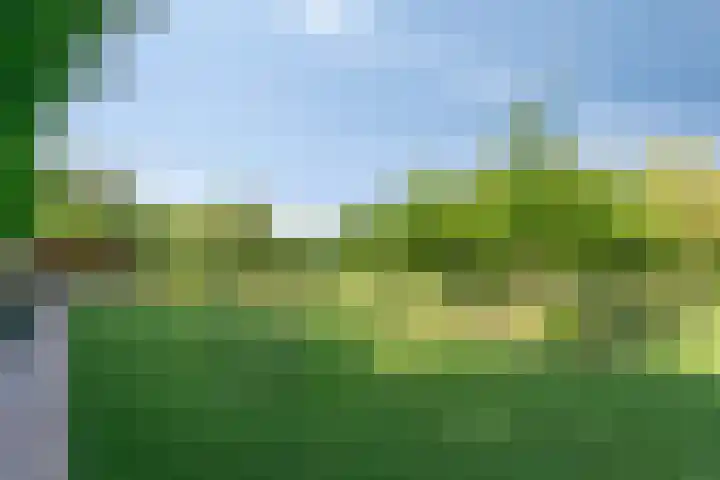 Roodakker 43 Herten thumbnail 38