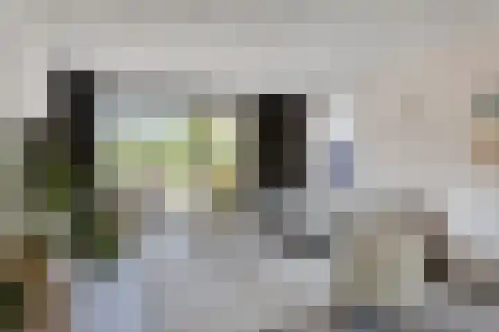Roodakker 43 Herten thumbnail 4