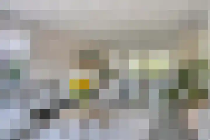 Roodakker 43 Herten thumbnail 5