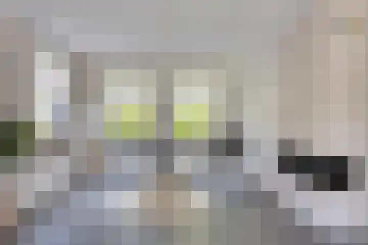 Roodakker 43 Herten thumbnail 6